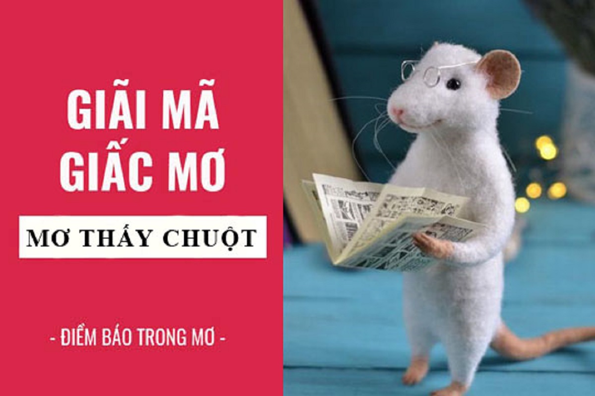 Nằm mơ thấy chuột có ý nghĩa gì? Giải Mã Những Điềm Báo Ẩn Trong Giấc Mơ Của Chuột - Random.com.vn